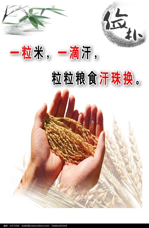 毕业证学位证丢了